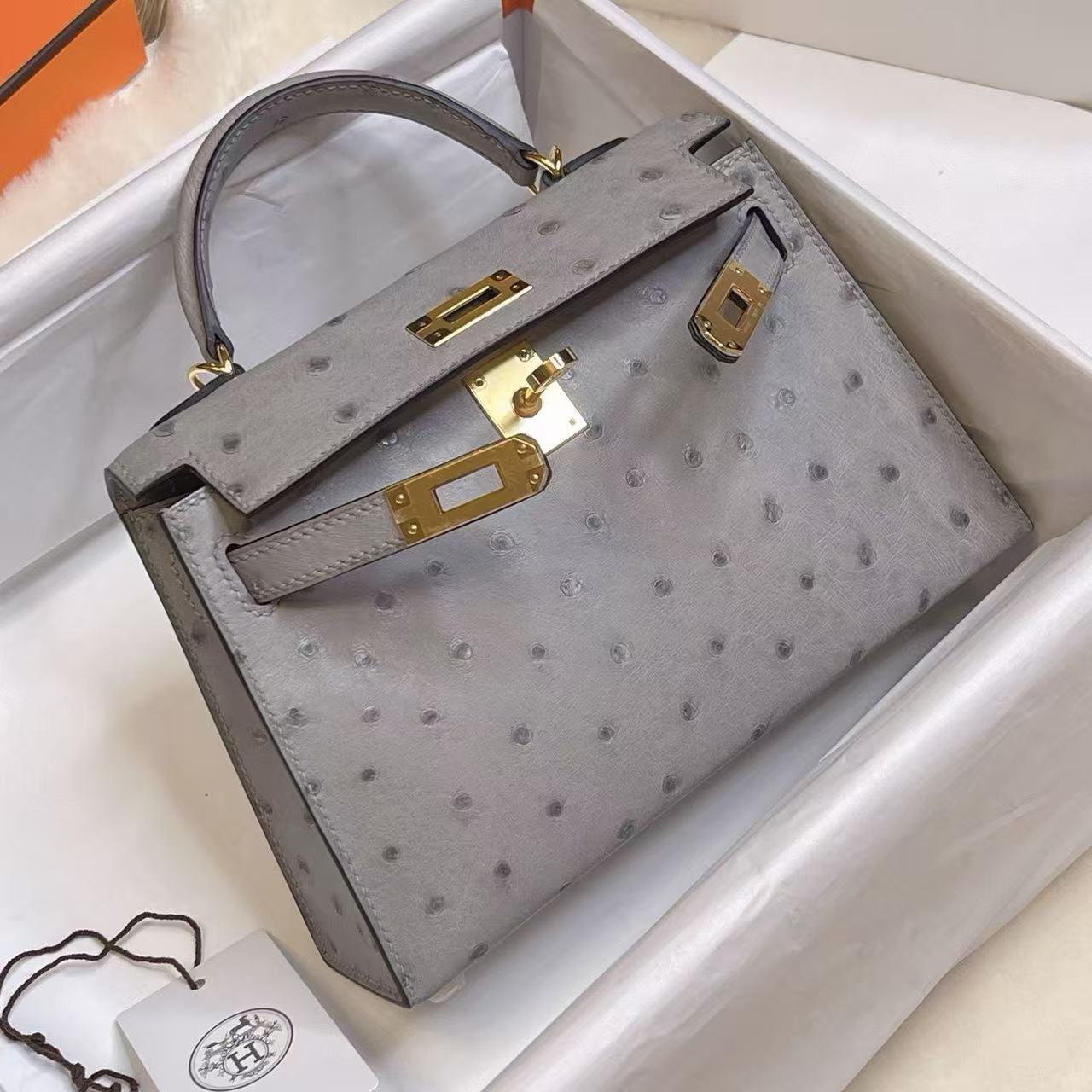 Hermès Kelly Mini ｜冰川藍鴕鳥皮 ｜金扣